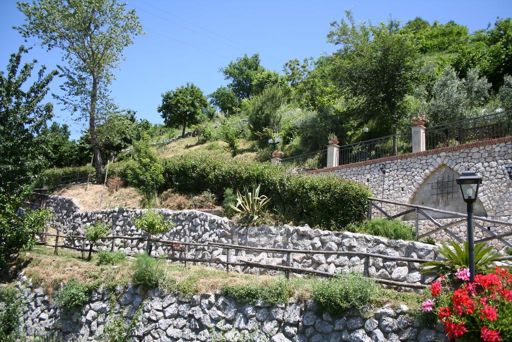 Agriturismo La Grotta Corbara  Zewnętrze zdjęcie